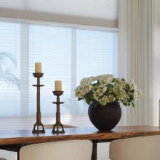 Hunter douglas alustra shades 4